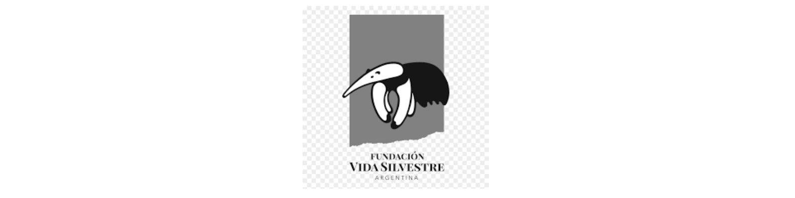Logo 15